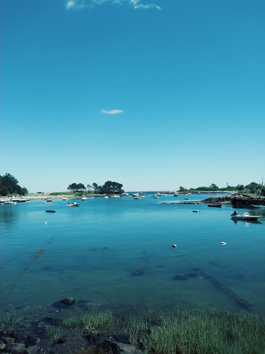 Nature Preserve «Steer Swamp Conservation Area», reviews and photos, 188 Washington St, Marblehead, MA 01945, USA