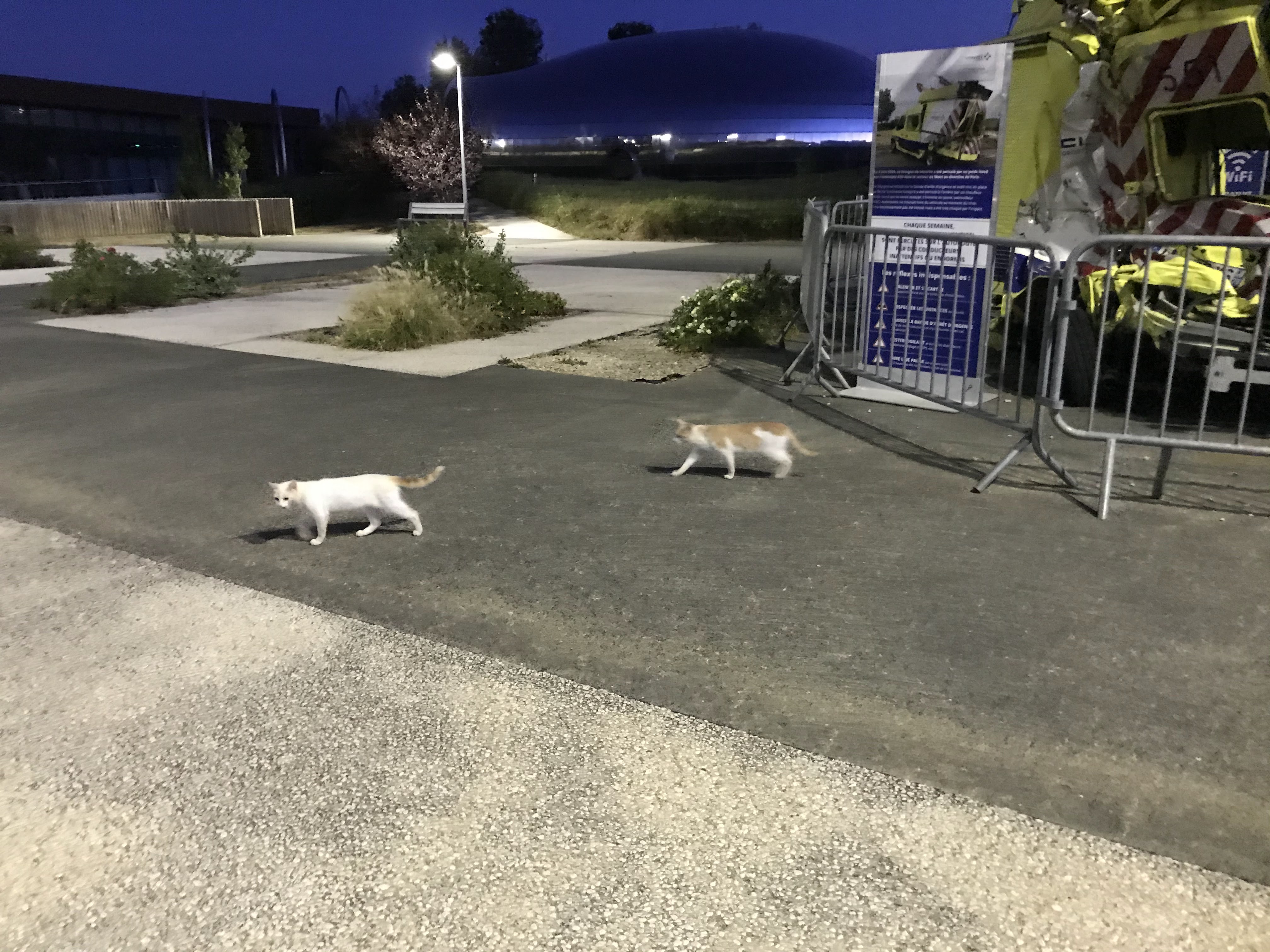 Photo n° 1 de l'avis de Guillaume.t fait le 17/08/2020 à 22:43
