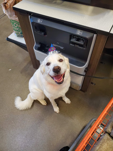 Home Improvement Store «The Home Depot», reviews and photos, 1749 Newman Rd, Okemos, MI 48864, USA