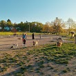 Genesee Dog Park