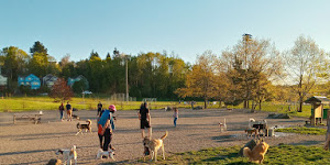 Genesee Dog Park