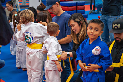 American Martial Arts Academy image