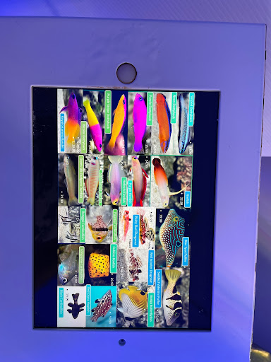 Pet Store «Sea King Aquariums», reviews and photos, 12005 NE 12th St #29, Bellevue, WA 98005, USA