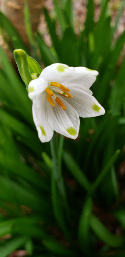 Park «Gabriel Park», reviews and photos, SW 45th Ave & Vermont Street, Portland, OR 97219, USA