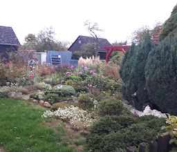 KGV Lister Damm Kolonie Lerchenheim photo