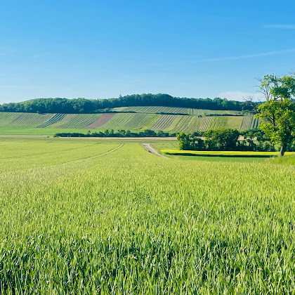 Photos du propriétaire Ferienwohnung Apartment im Weinparadies, Weigenheim 97215 Weigenheim
