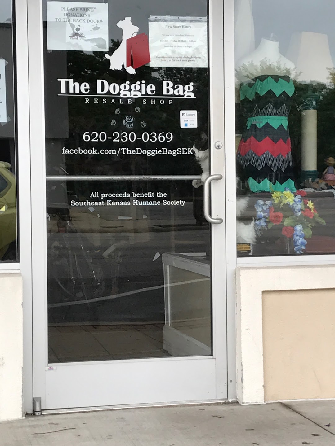 The Doggie Bag