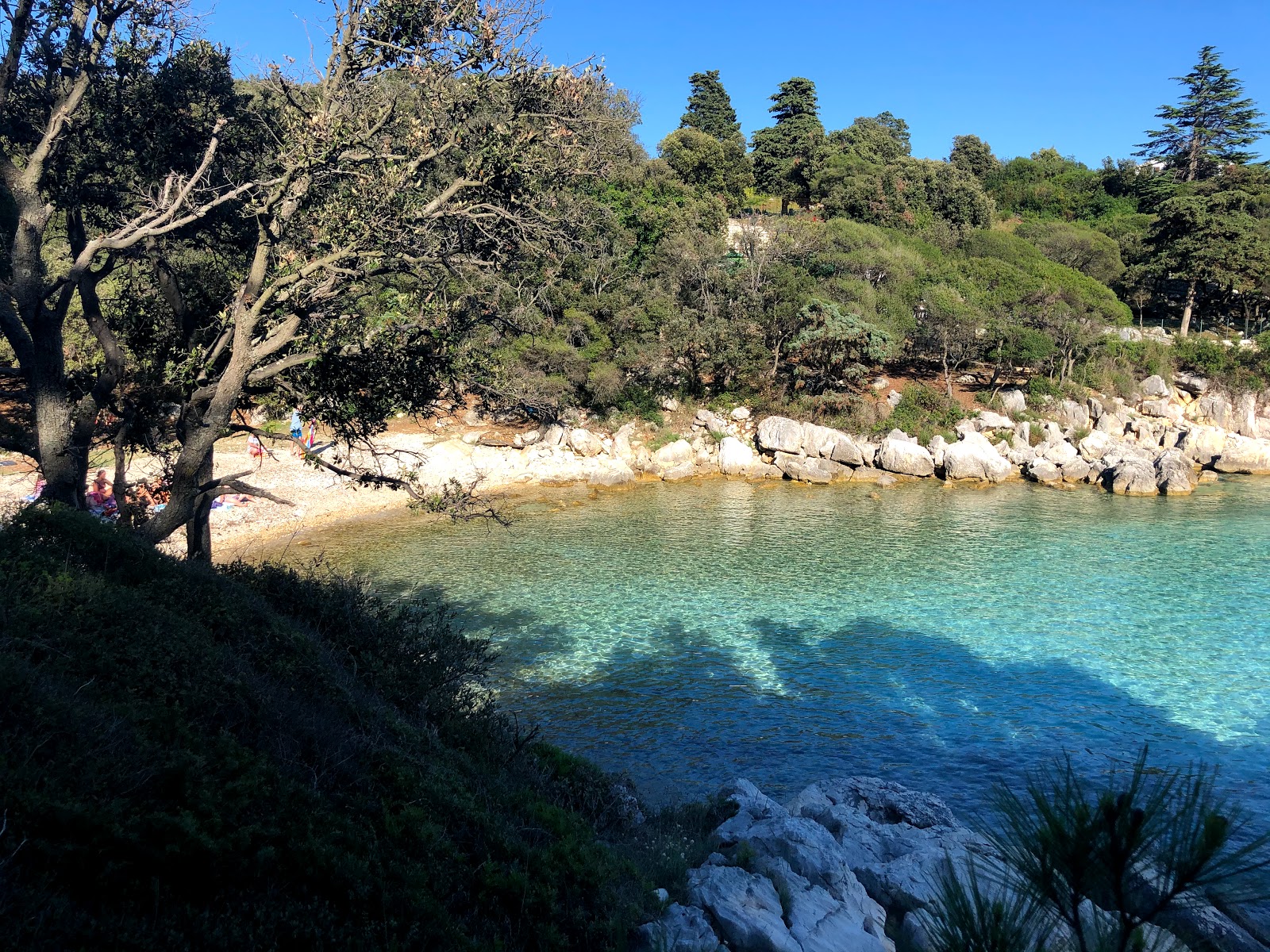 Foto di Jelenovica beach con una superficie del acqua cristallina