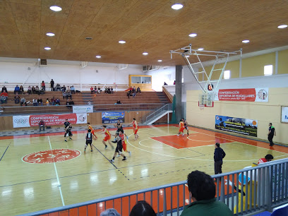 Estadio Confederacion Deportiva De Magallanes