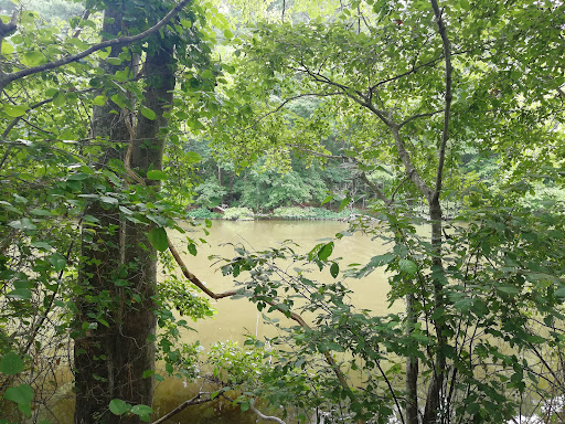 Golf Course «Bur-Mil Park Golf Course», reviews and photos, 5834 Bur-Mill Club Rd, Greensboro, NC 27410, USA