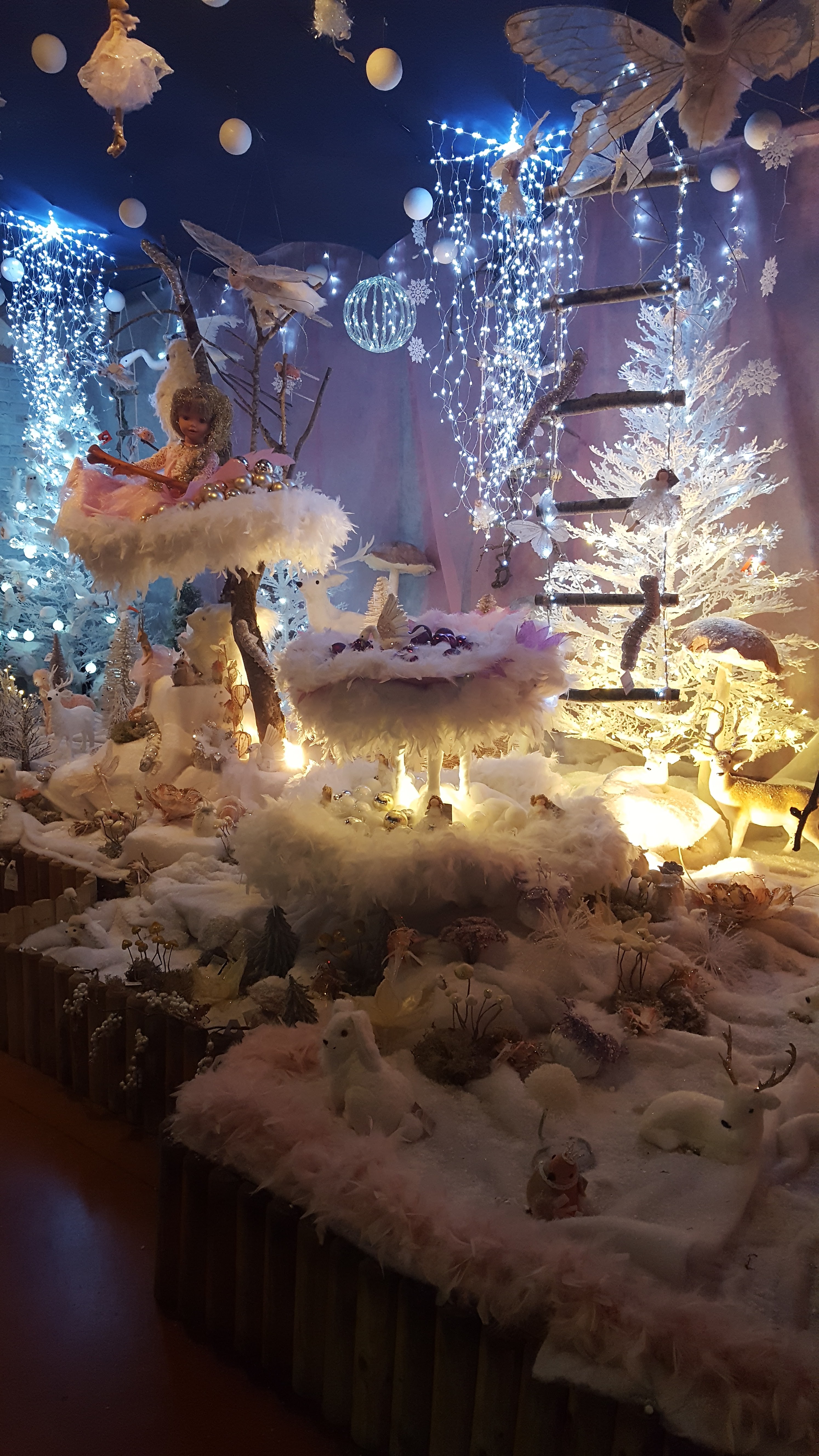Photo n° 1 de l'avis de françoise.a fait le 16/12/2018 à 09:56