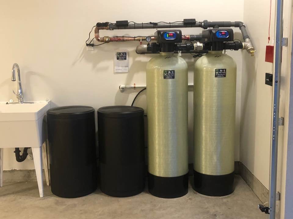 Rayne of the Central Valley