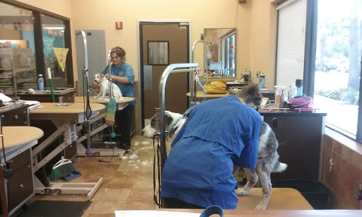 Pet Supply Store «PetSmart», reviews and photos, 1900 W International Speedway Blvd, Daytona Beach, FL 32114, USA