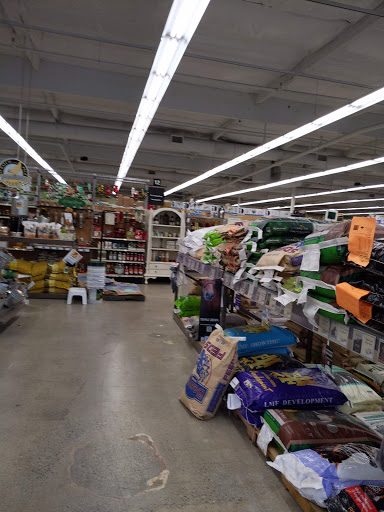 Hardware Store «Town Center Hardware, ACE», reviews and photos, 6613 132nd Ave NE, Kirkland, WA 98033, USA