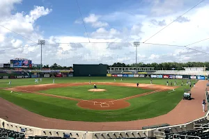 Fort Myers Miracle image