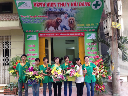 Phòng khám mổ đẻ chó mèo uy tín Hà Nội - Bệnh viện thú y Hải Đăng
