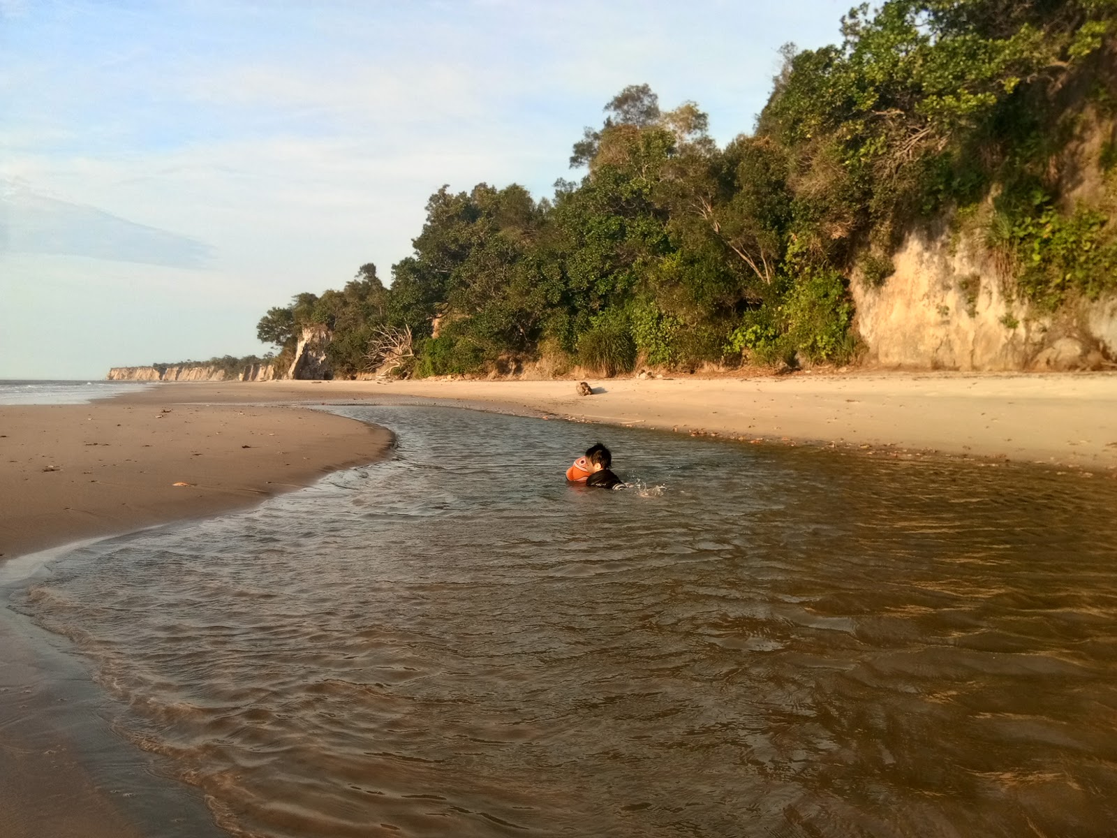 Zdjęcie Peliau Beach dziki obszar