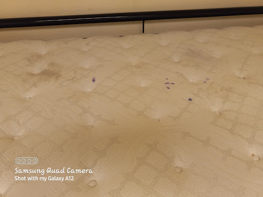 Social Services Organization «The Shade Tree», reviews and photos