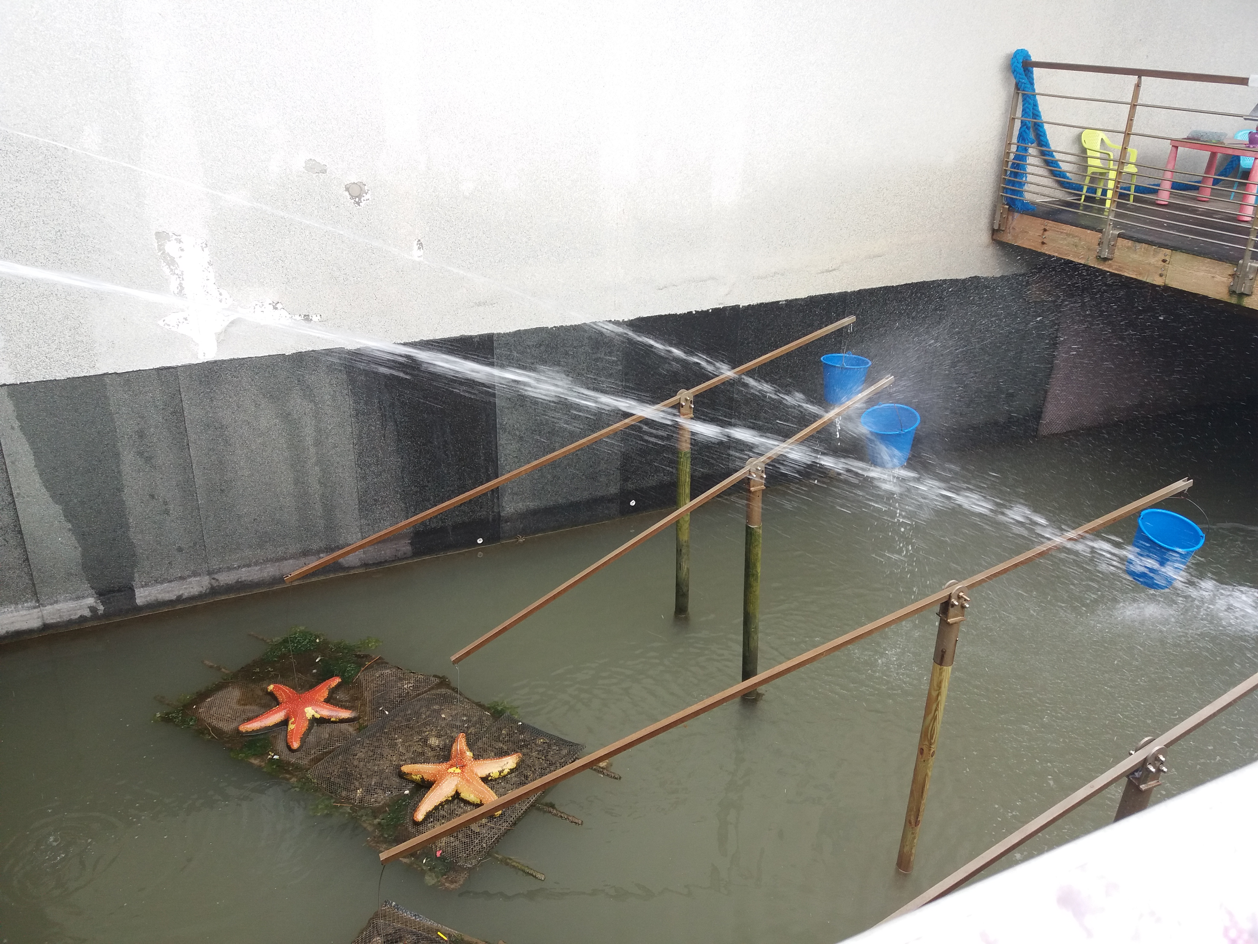 Photo n° 5 de l'avis de Sandra.i fait le 15/08/2017 à 20:47