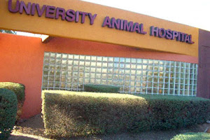 VCA University Animal Hospital