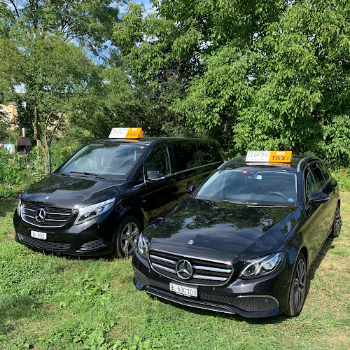 bs-taxi - Taxiunternehmen