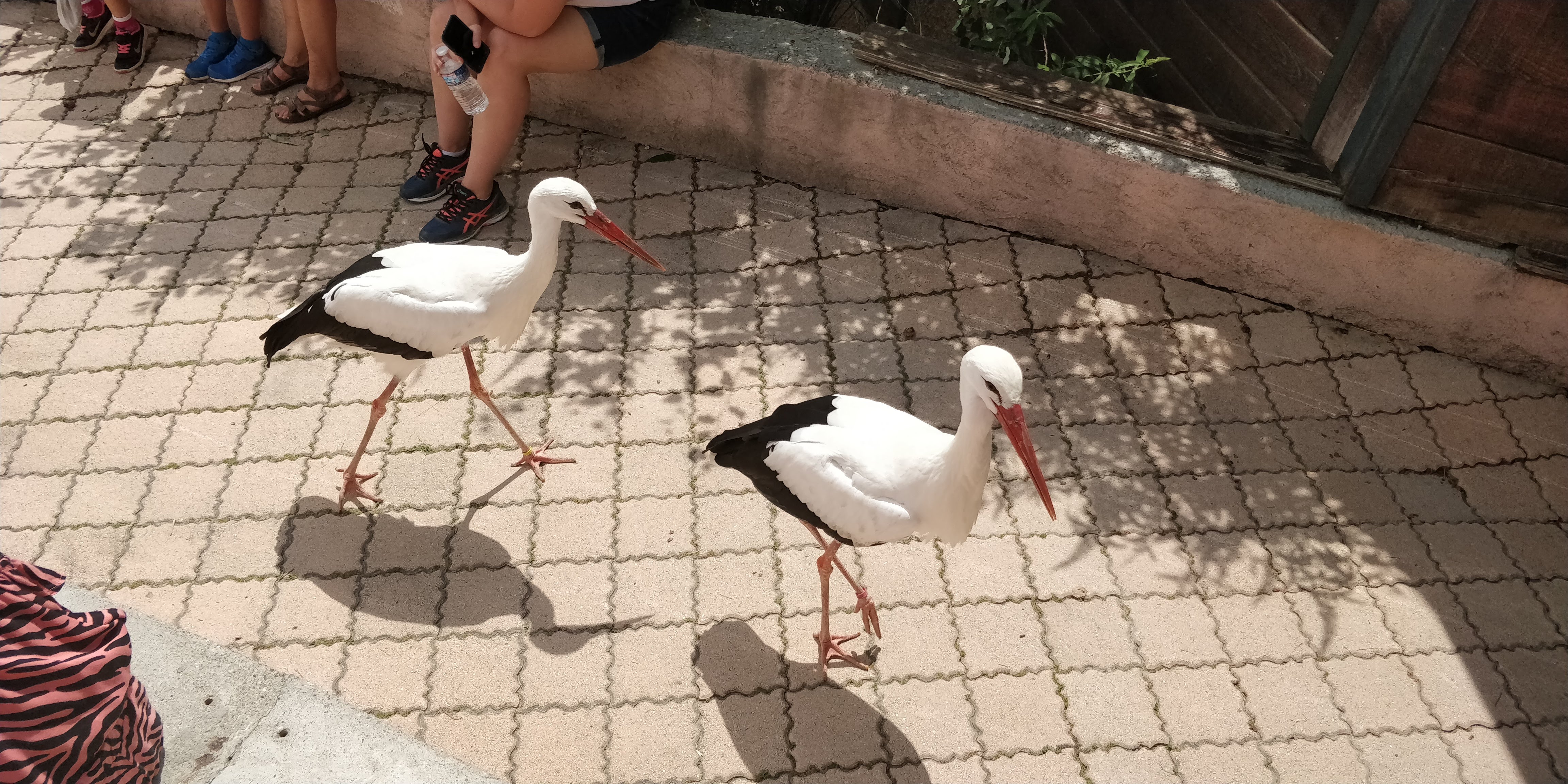 Photo n° 26 de l'avis de Sylvain.e fait le 02/08/2018 à 06:25