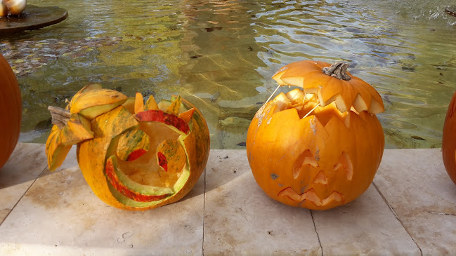 Opinii despre Cserkeszőlő Fürdő és Gyógyászati Központ în Cserkeszőlő - Orvos