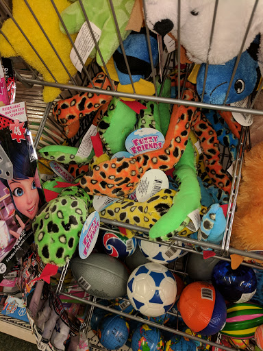 Dollar Store «Dollar Tree», reviews and photos, 6521 Sashabaw Rd, Village of Clarkston, MI 48346, USA