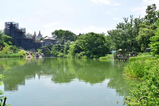 Movie Theater «Alpine Cinema», reviews and photos, 6817 5th Ave, Brooklyn, NY 11220, USA