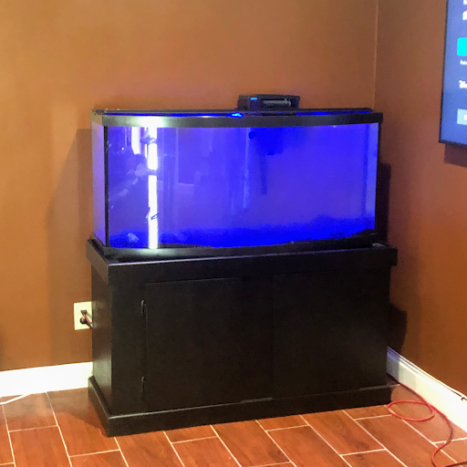 Aquarium «Neptunes Aquariums», reviews and photos, 5329 W 20th Ave, Hialeah, FL 33012, USA