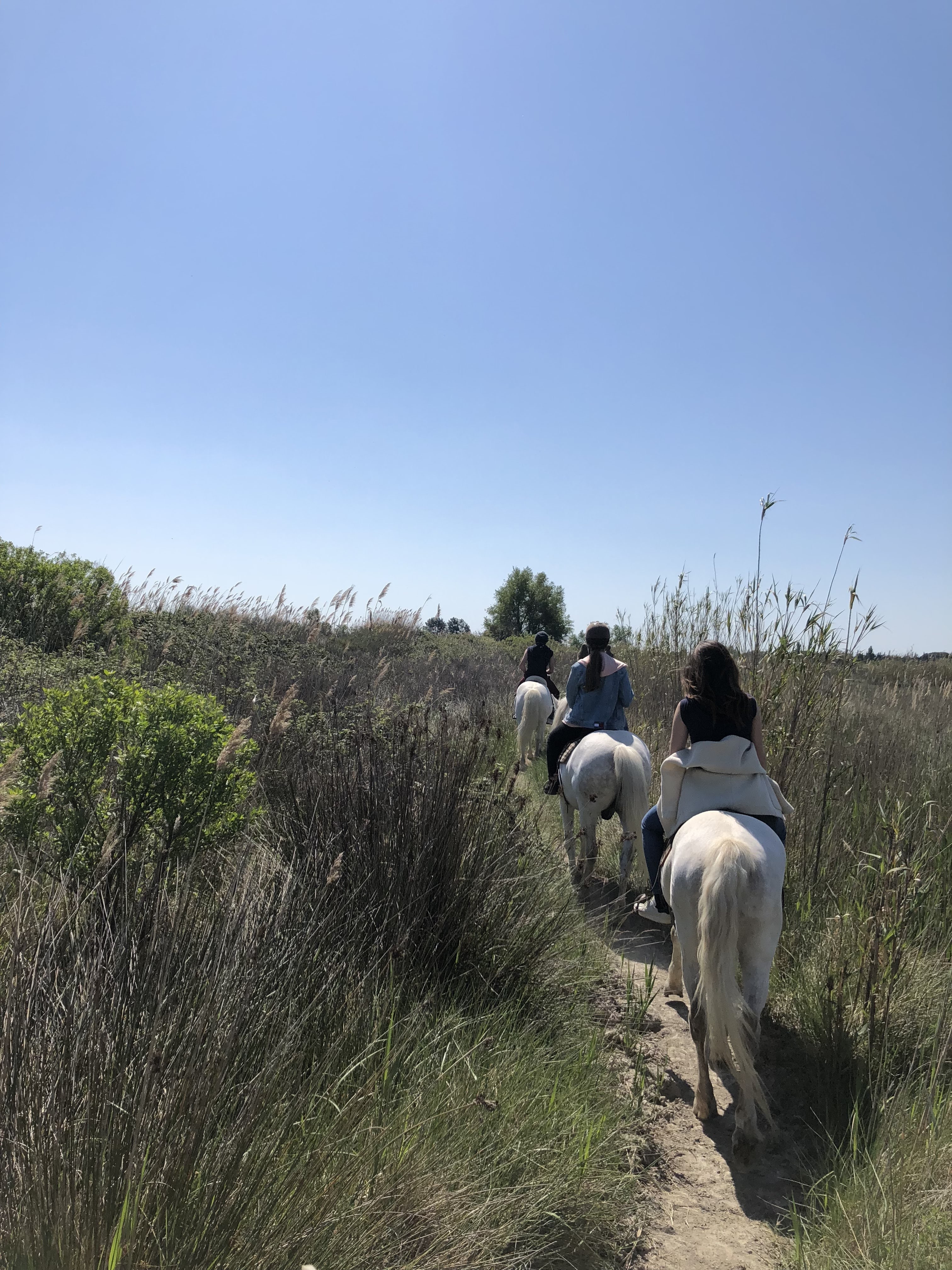 Photo n° 2 de l'avis de Cécile.u fait le 08/05/2019 à 13:15
