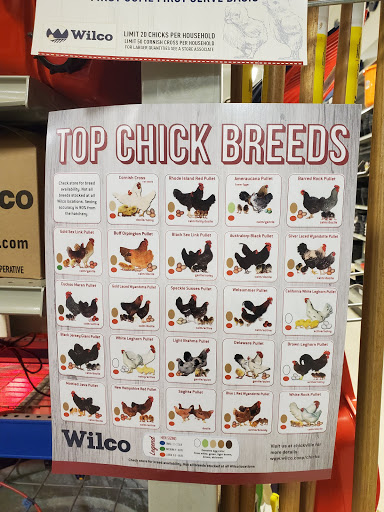 Animal Feed Store «Wilco Farm Store», reviews and photos, 815 W Main St, Battle Ground, WA 98604, USA