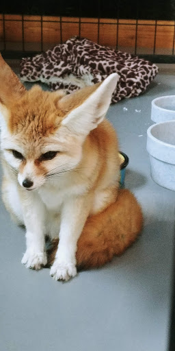 Wildlife Park «Colorado Wolf and Wildlife Center», reviews and photos, 4729 Twin Rocks Rd, Divide, CO 80814, USA