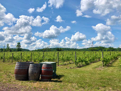 Winery «Hopewell Valley Vineyards», reviews and photos, 46 Yard Rd, Pennington, NJ 08534, USA