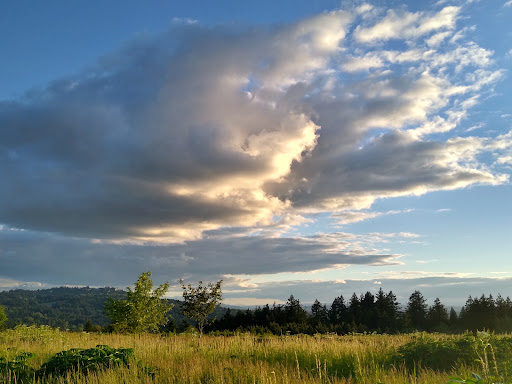 Park «Powell Butte Nature Park», reviews and photos, 16160 SE Powell Blvd, Portland, OR 97236, USA