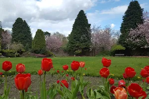 Kings Park Walled Garden image