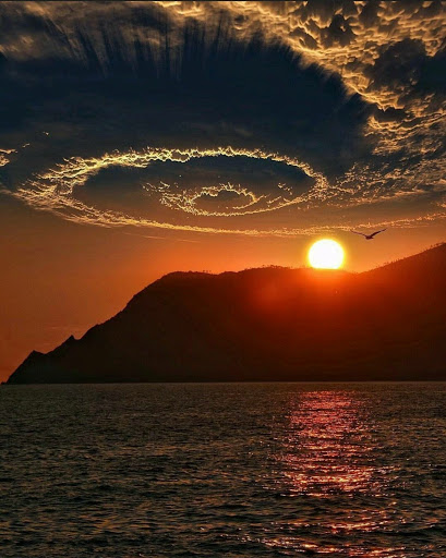 Insurance Agency «Devlin Insurance Agency», reviews and photos