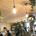 Photo n°1 de l'avis de Manon.P fait le 26/08/2021 à 13:39 sur le  Fauna & Flora - Santos à Lisbon