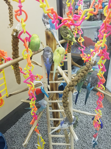 Pet Supply Store «Petco Animal Supplies», reviews and photos, 495 E Lincoln Hwy, New Lenox, IL 60451, USA