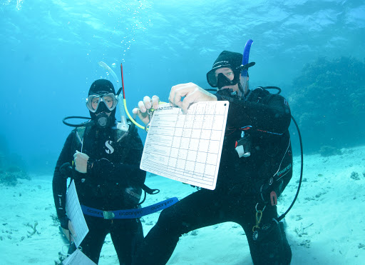Dive Instructor Academy