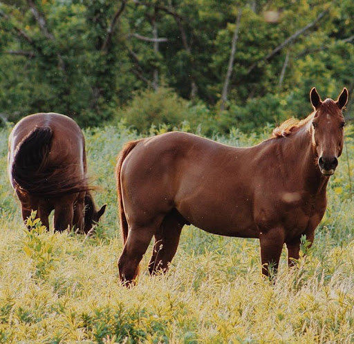 Campground «Hickory Hills Campground», reviews and photos, 499 Dixie Hill Rd, Spencer, IN 47460, USA