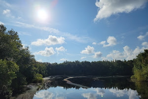 Northdale Lake Park trail