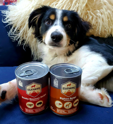 Pet Supply Store «Pet Barn Inc», reviews and photos, 167 Jennifer Rd # G, Annapolis, MD 21401, USA