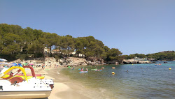 Foto von Cala Font De Sa Cala und die siedlung