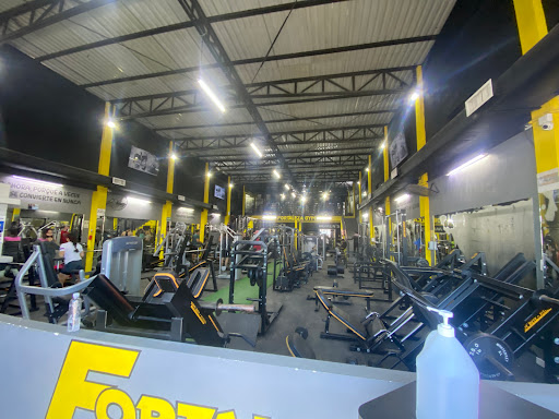 Fortaleza gym