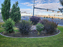 AC Landscaping Services - Photo 9 - Car repair in West Valley City, UT, West Valley City