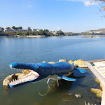 Photo n° 2 de l'avis de sandrine. fait le 27/10/2021 à 14:33 pour Dinosaur'Istres à Istres