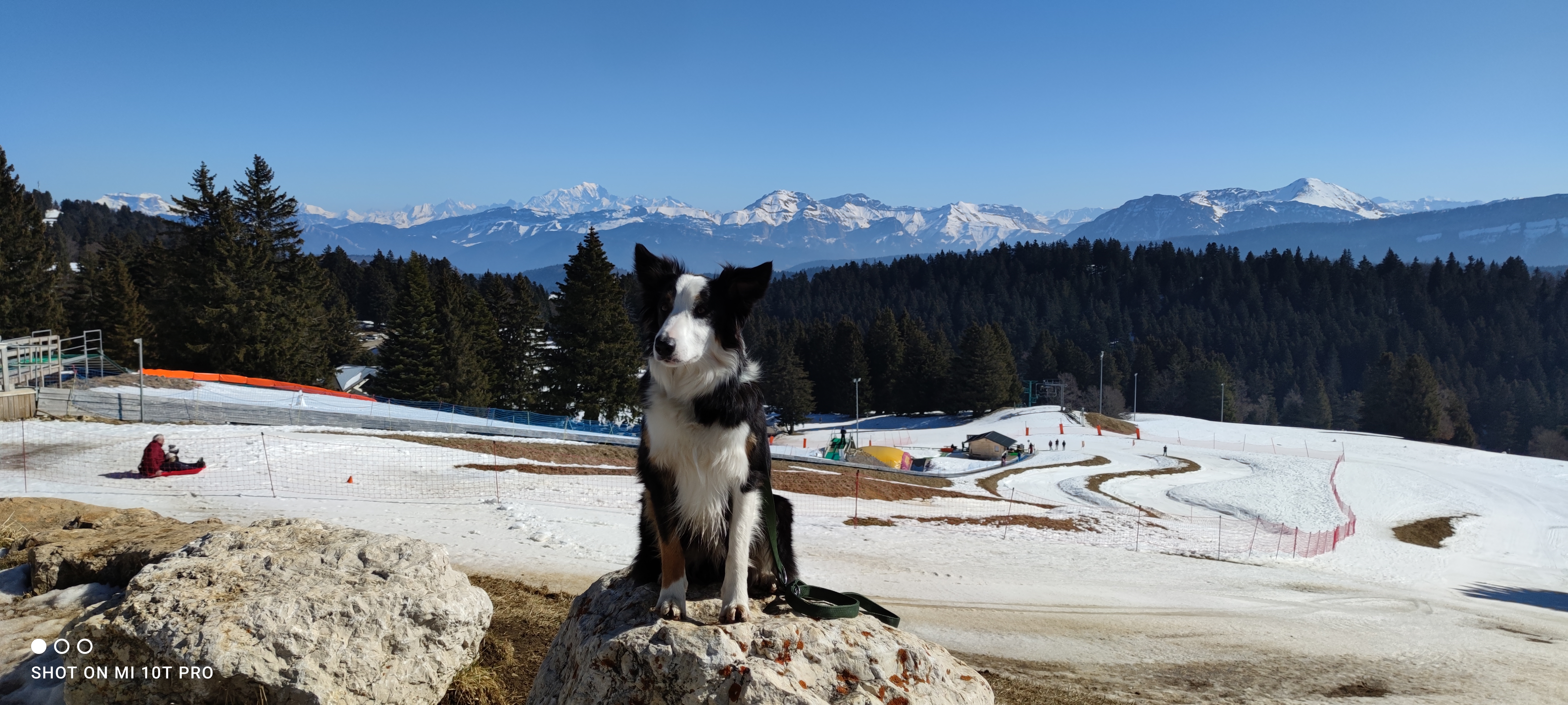 Photo n° 2 de l'avis de Nath. fait le 16/03/2022 à 21:22