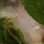 Photo n°1 de l'avis de Carmine.o fait le 25/02/2024 à 20:42 sur le  Pepe Mastro Dolciere à Sant'Egidio del Monte Albino