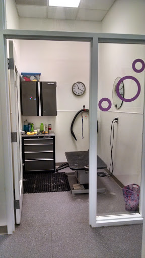 Pet Groomer «Bubbly Paws Dog Wash & Grooming», reviews and photos, 949 Grand Ave, St Paul, MN 55105, USA